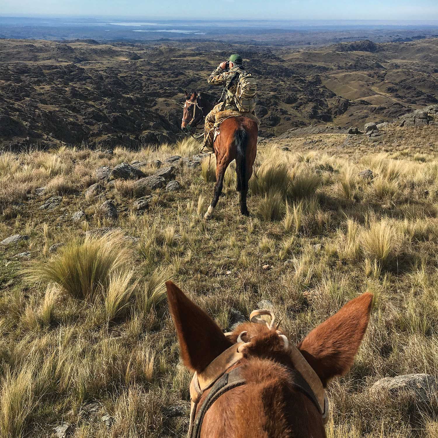 a hunter on horseback scouting for deer