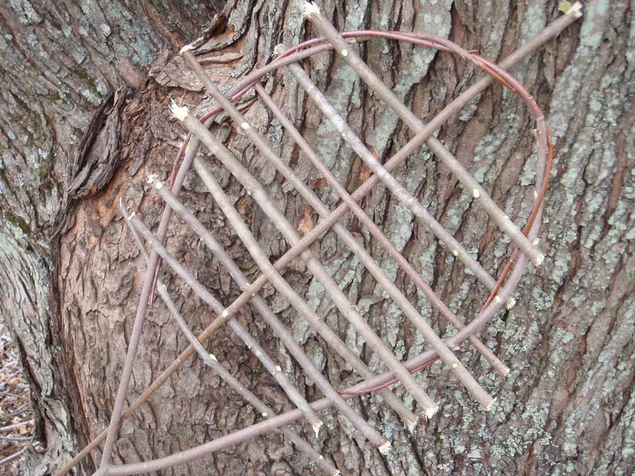 a snowshoe racket for campfire grilling