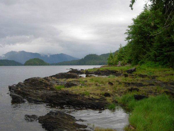 Roadless Area Rules Could Be Rolled Back in Tongass National Forest