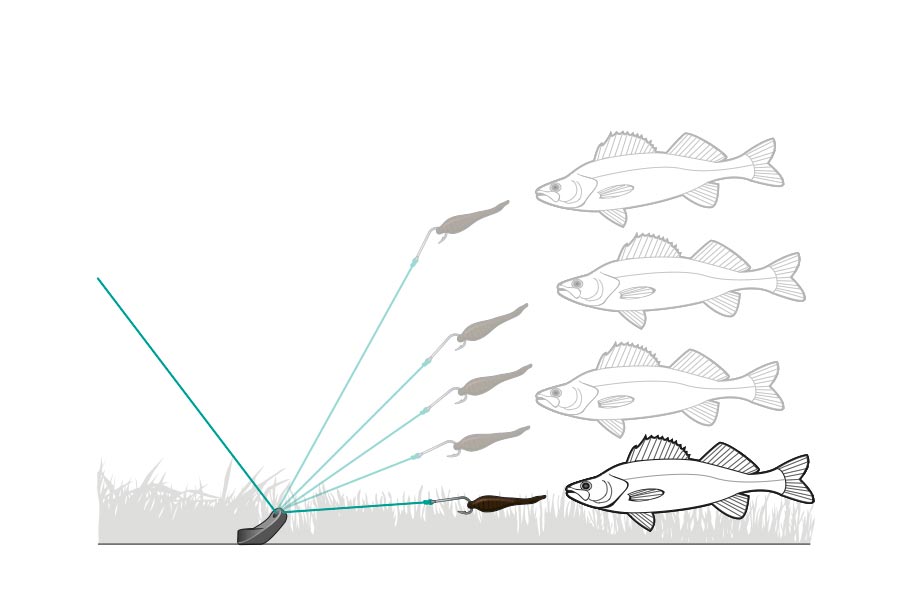 leader length bait fishing rig