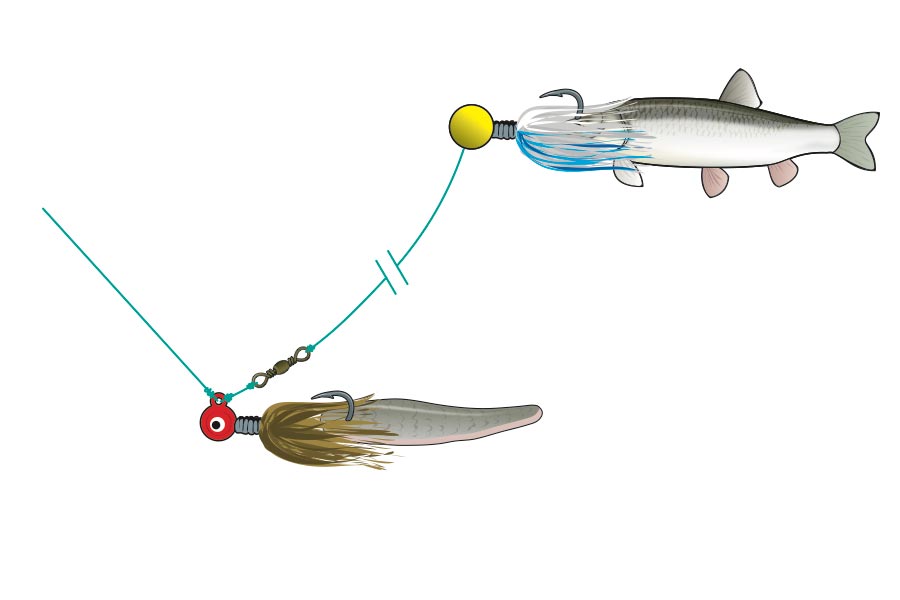 Fishing lures: Are plastic baits environmental menace or simple, fishing  lure
