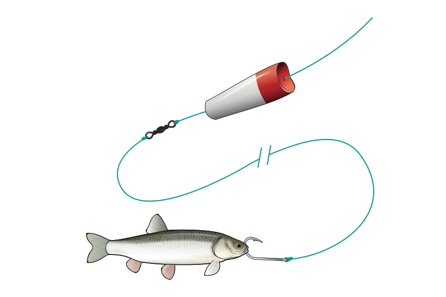Flasher Rigs or Sabiki Rigs - Three main advantages over bait