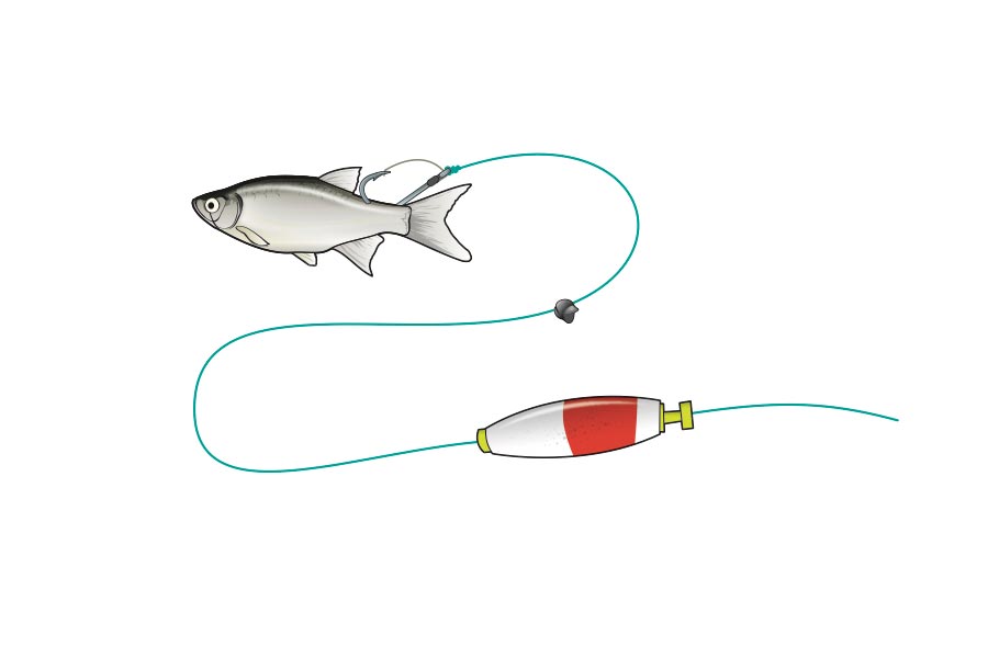 Bottom Fishing Red Drum Carolina Rig-Catfish Rig-Sinker Weight 1