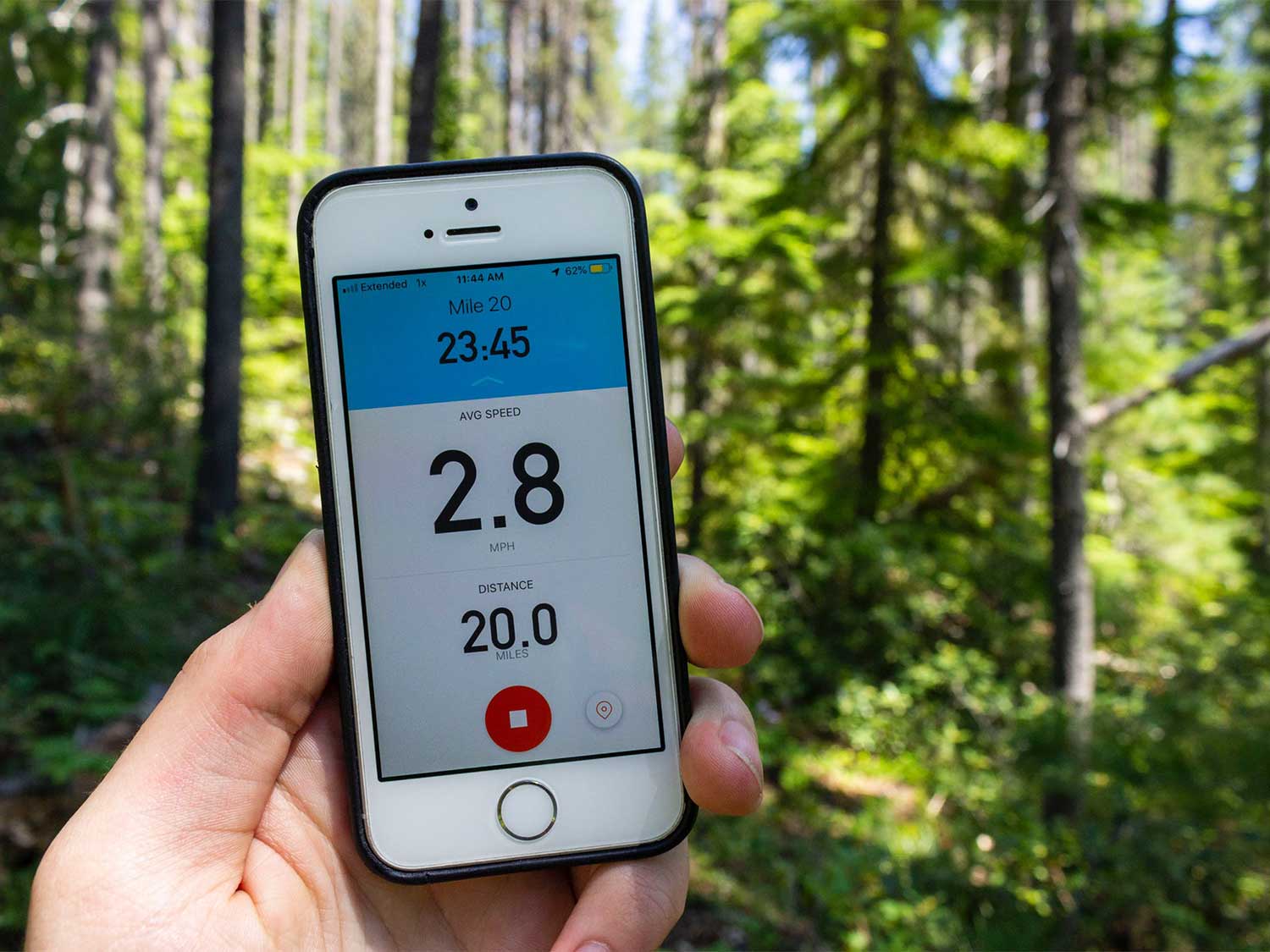 hand holding phone in a forest