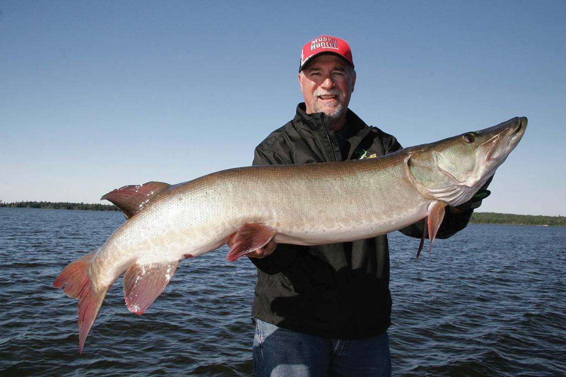 How to Piss Off A Summer Muskie into Striking