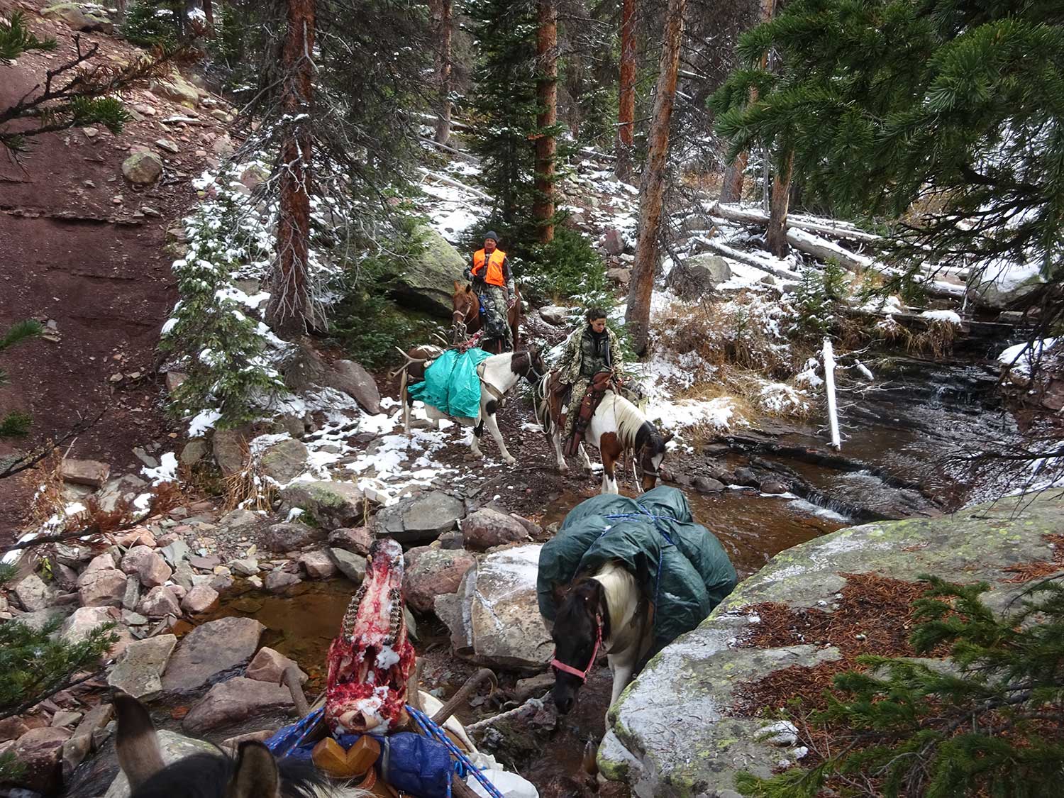 hunters on horseback on a backcountry trail