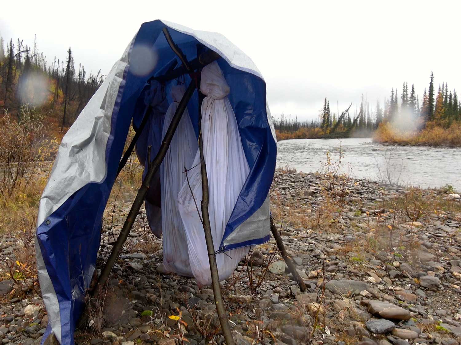 wild game meat bags hanging and covered by a tarp