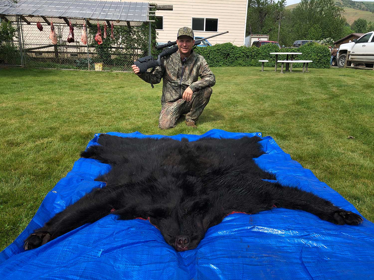 a bear hide on a blue tarp