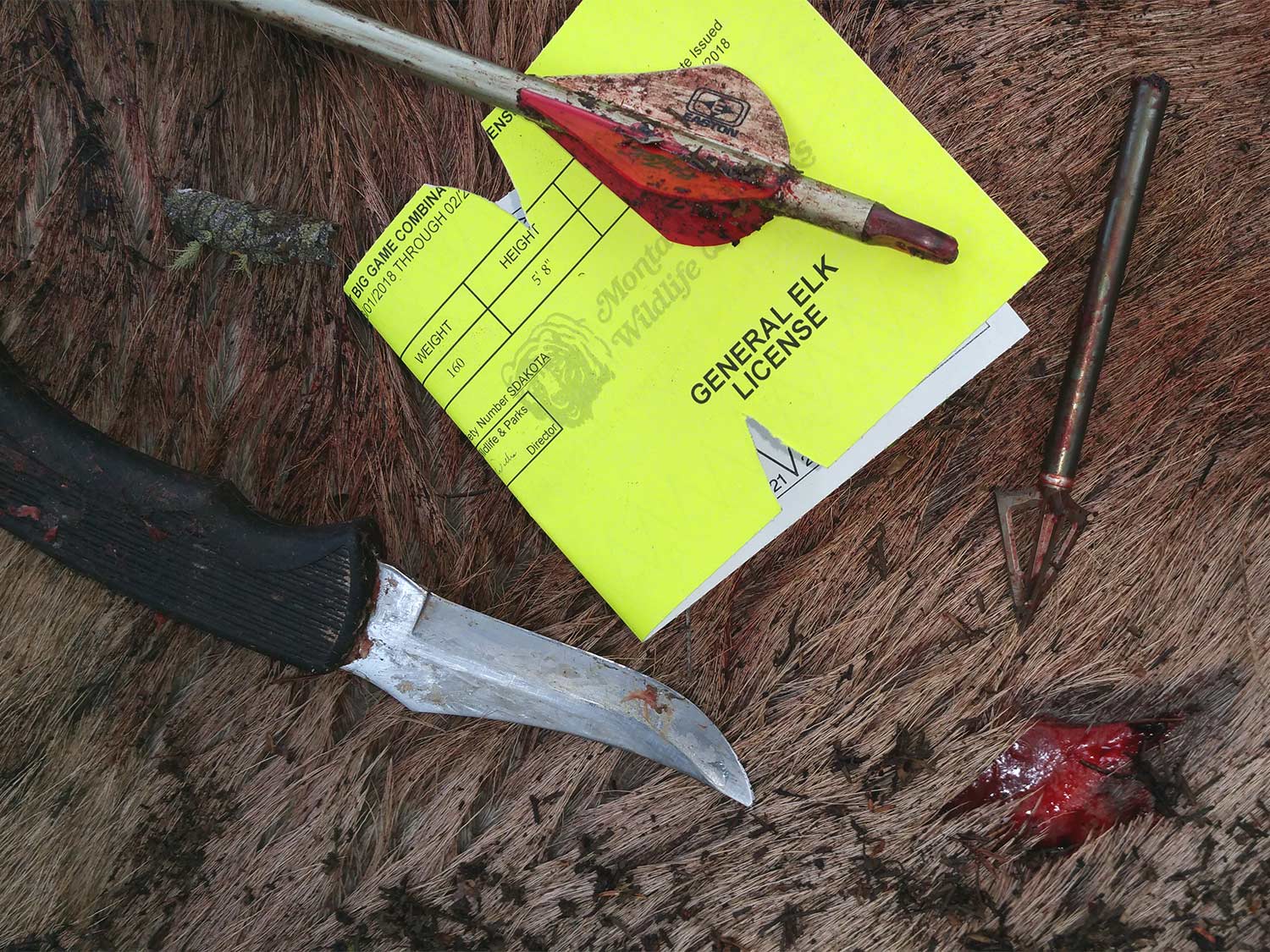 an elk license and hunting broadheads