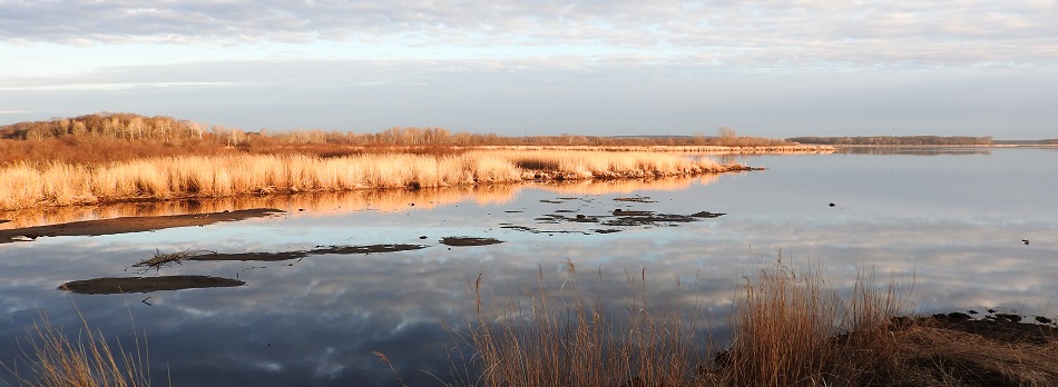 wildlife refuges bernhardt