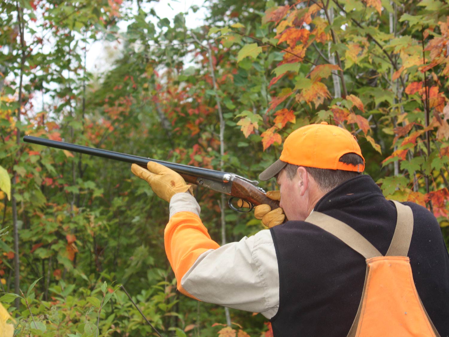 hunter aiming a shotgun in a forest