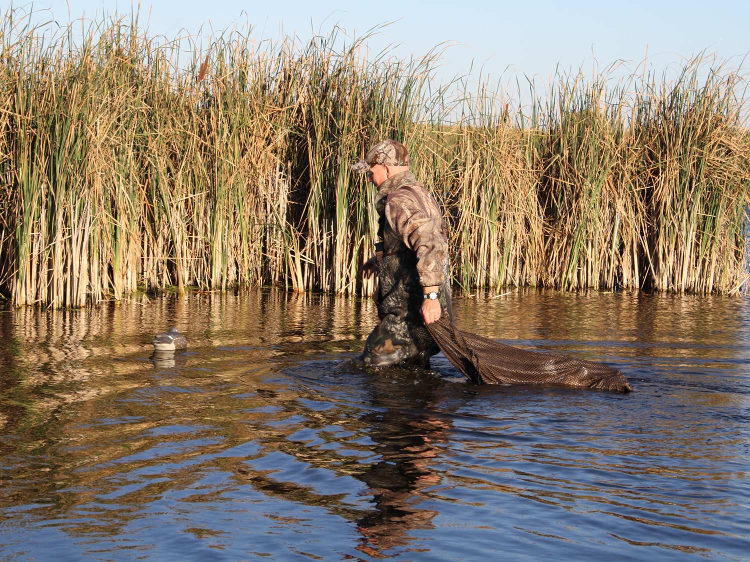 hunter wading through a pond