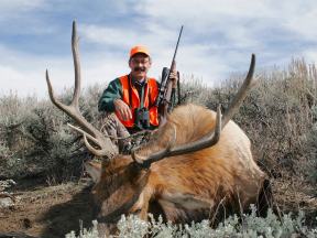 Elk Cartridge Showdown: .308 Win vs. .300 Win. Mag. vs. 338. Win. Mag.