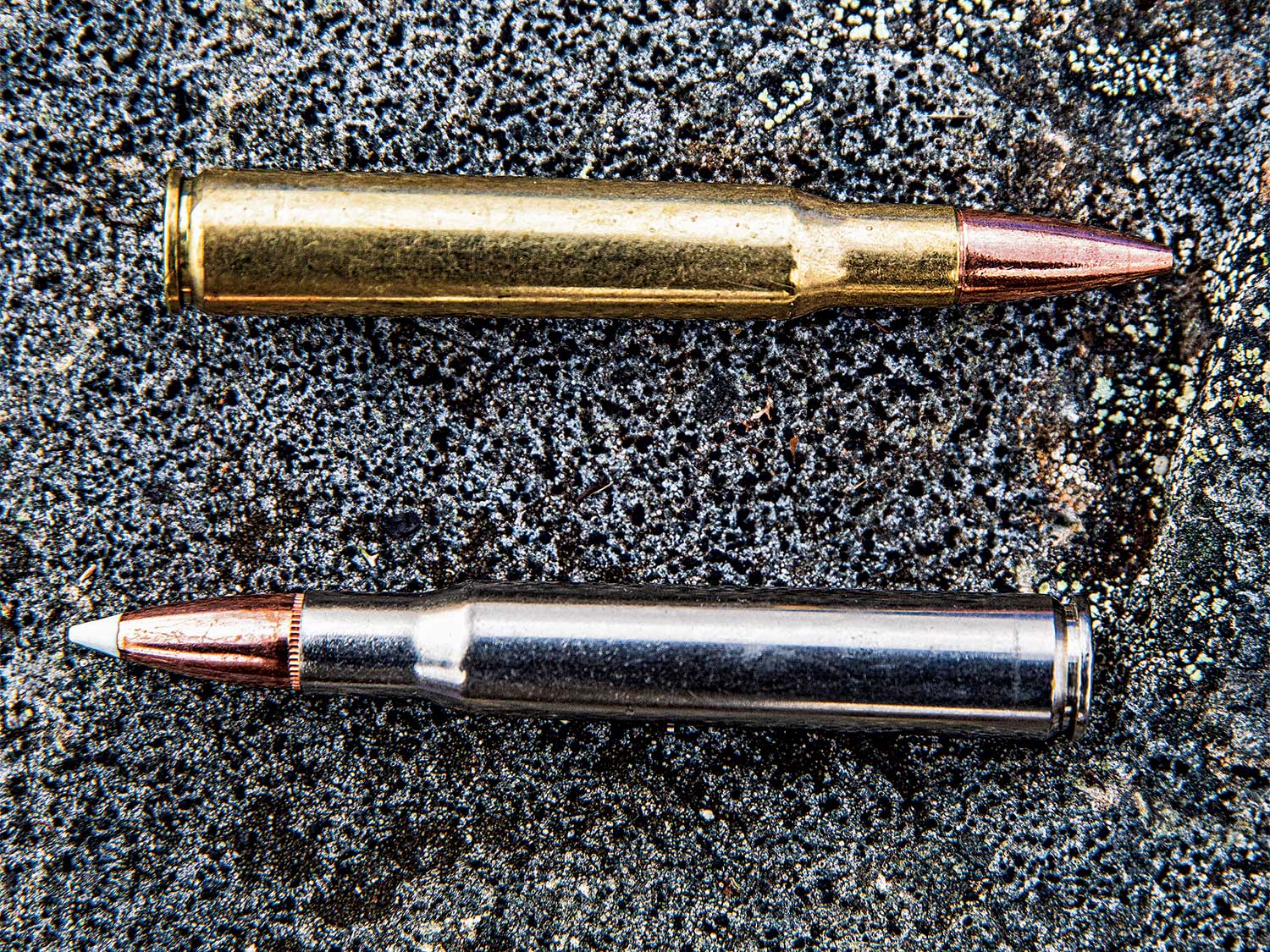 two .30-06 bullets on the rocks