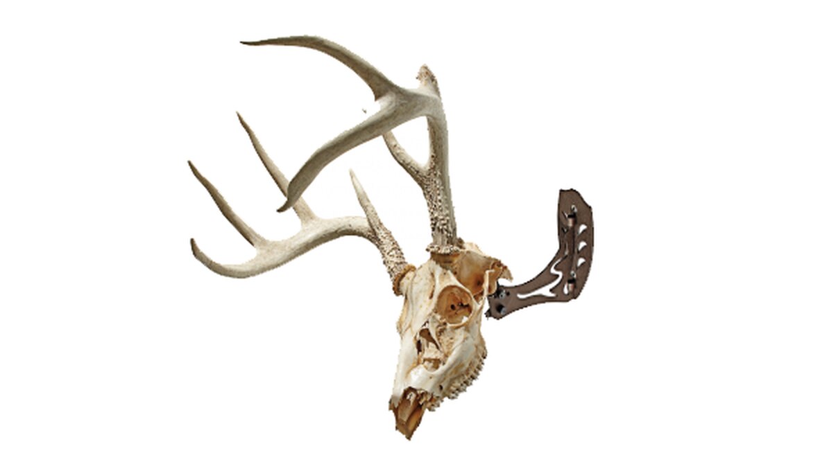 The Skull Hooker is designed to display a standard Euro skull mount.