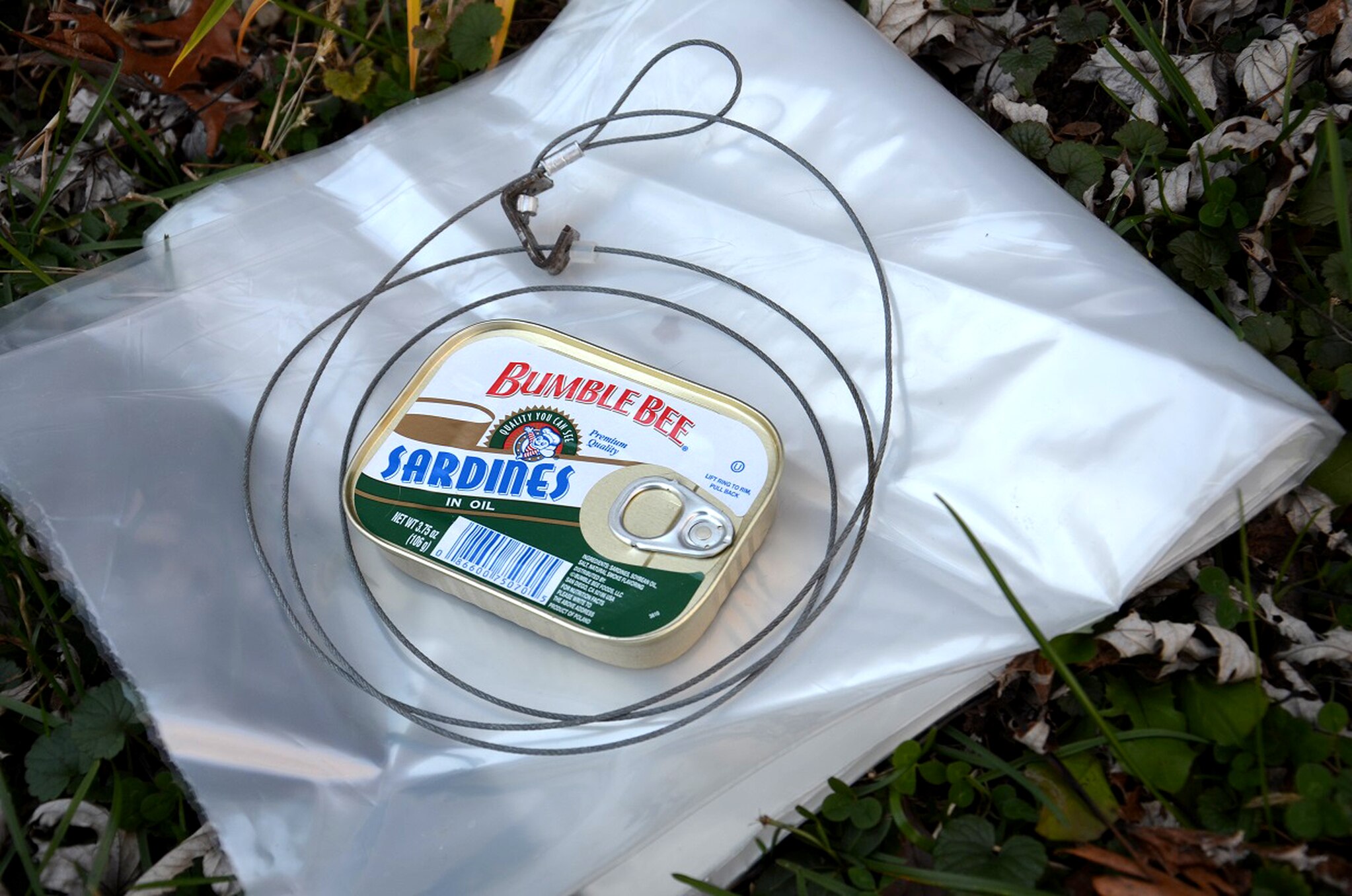 Hunting Snares: Types and How to Build One – Be Prepared - Emergency  Essentials