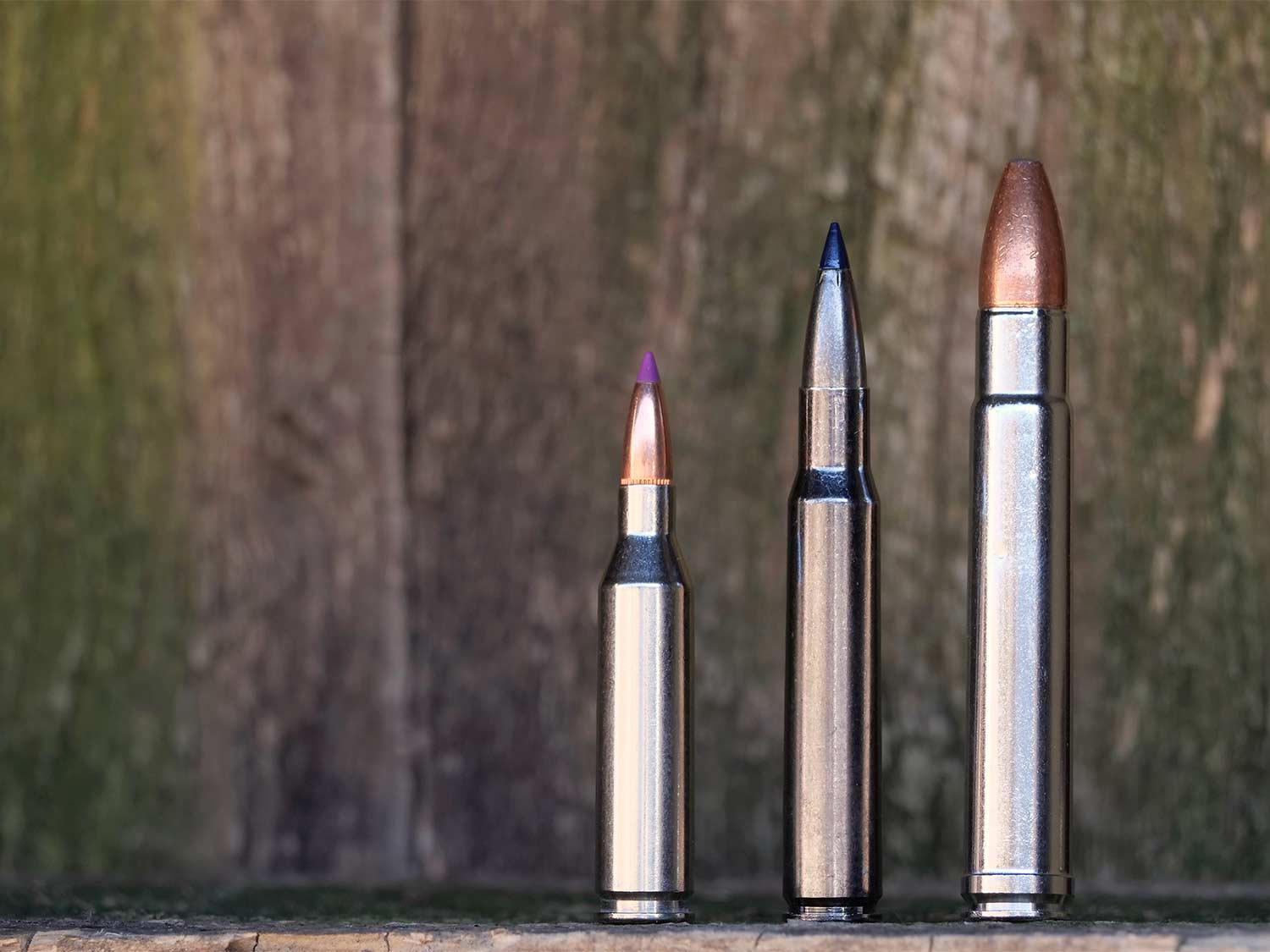 three ammo cartridges on a wood backdrop