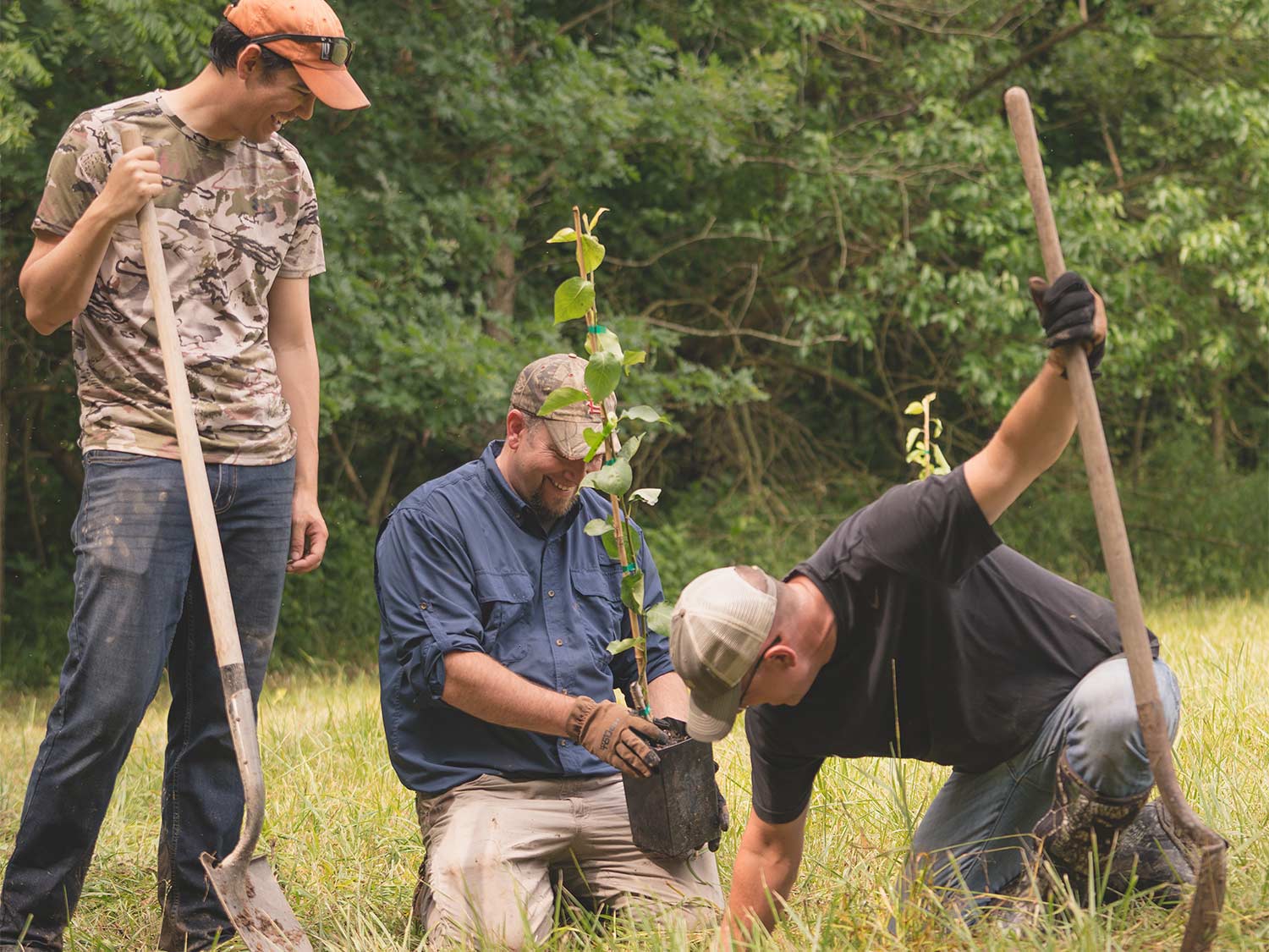 three hunters planting a tree