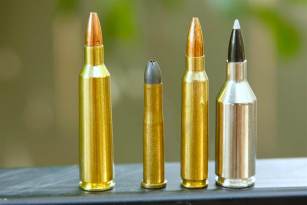 Coyote Cartridges: .223 Rem. Vs. .22-250 Rem. Vs. .243 Win.