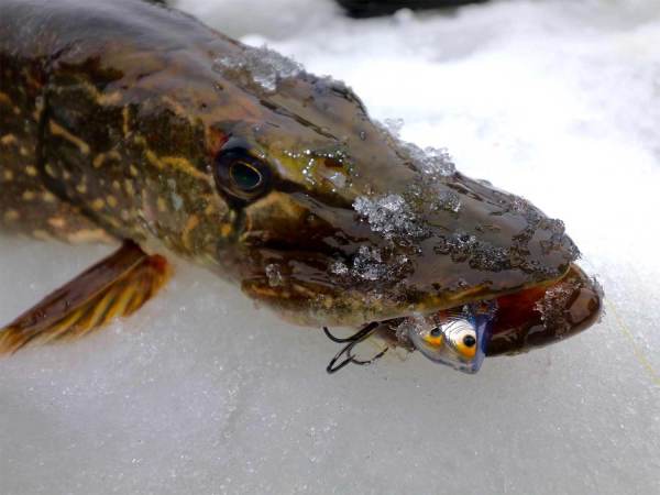 This is Your Year to Get into Ice Fishing. Here's the Gear You Need to Do It