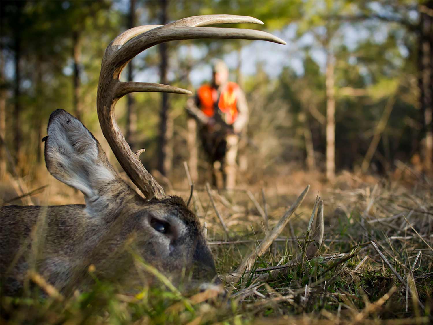 Pennsylvania Will Finally Allow Limited Sunday Deer Hunting. But Why