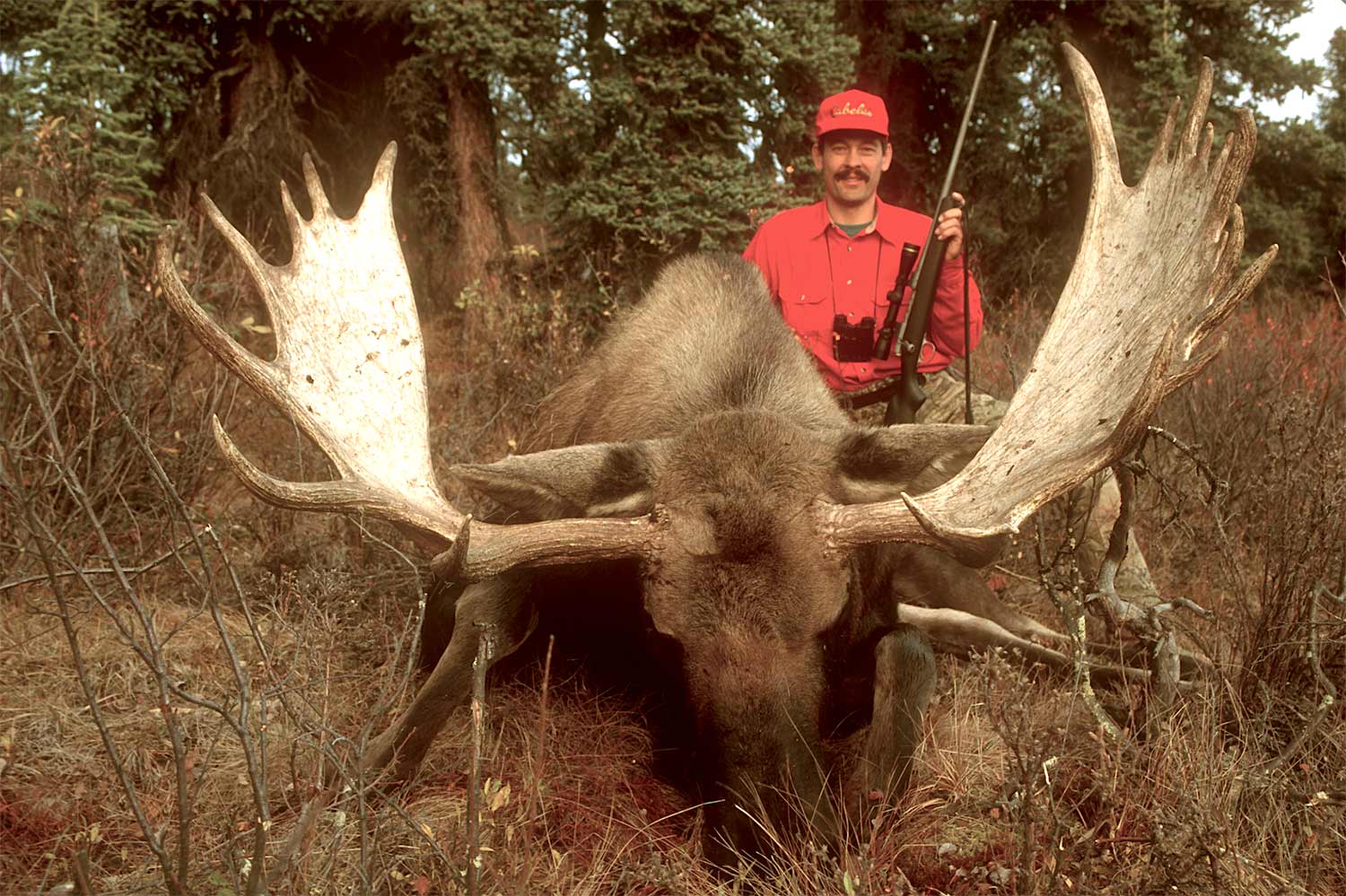 man hunting a large deer in the woods.