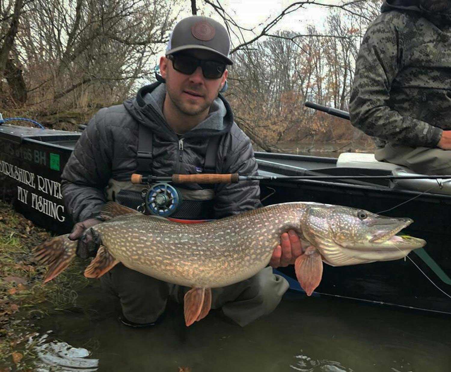 Northern pike, like this one, and their muskie cousins start to fatten up before ice-up hits.