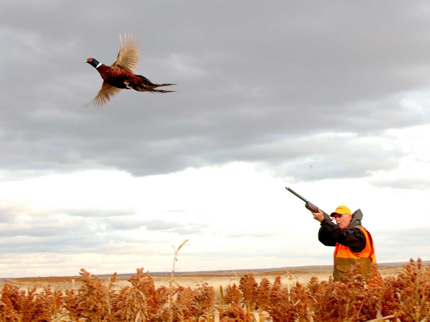 Shotgun Showdown: 12 Gauge vs. 20 Gauge vs. 28 Gauge