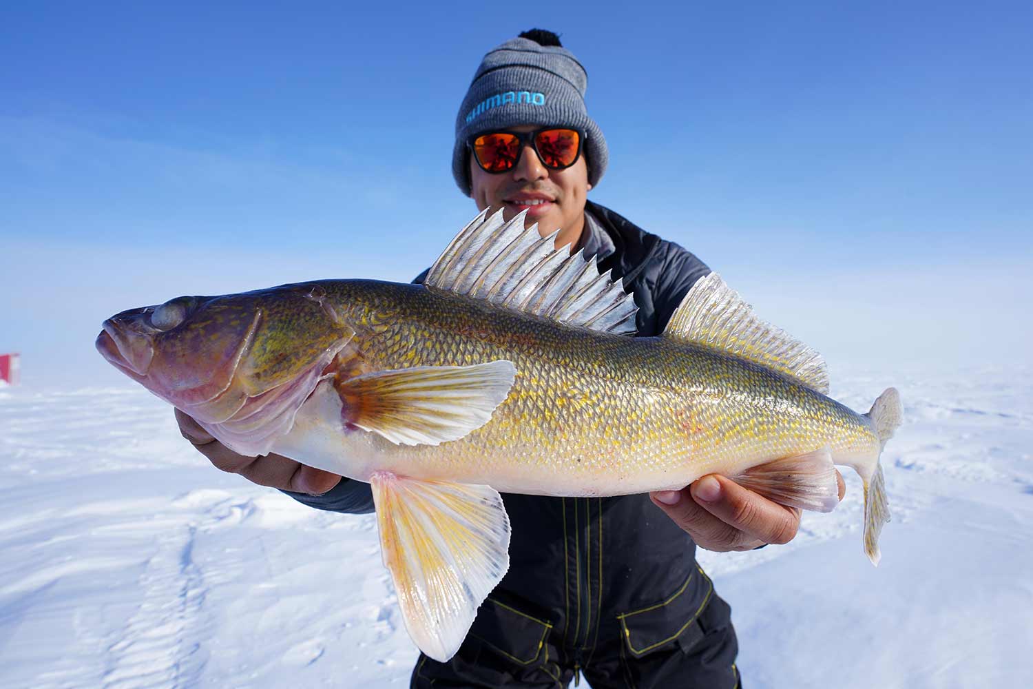 36 Solid Carbon Walleye Ice rod Blank