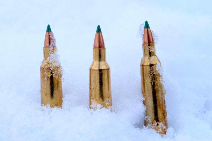 The Best Brush Busting Bullets Put to the Test