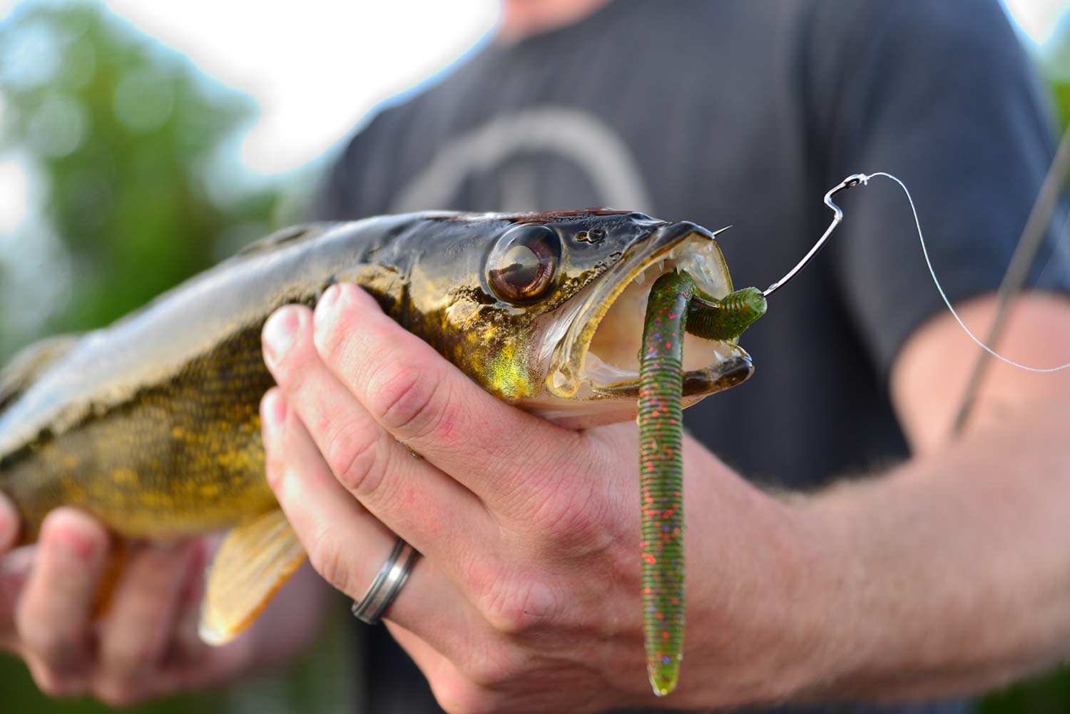 A man holding a fish.