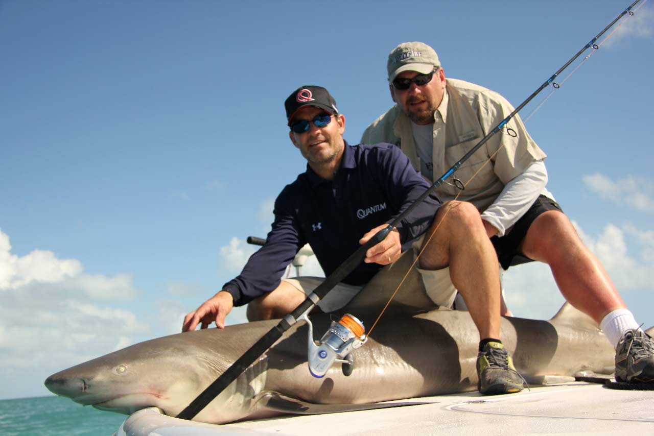 people fishing sharks.