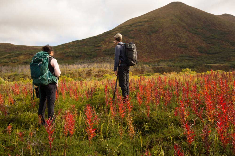 Hunters hiking in the Kodiak