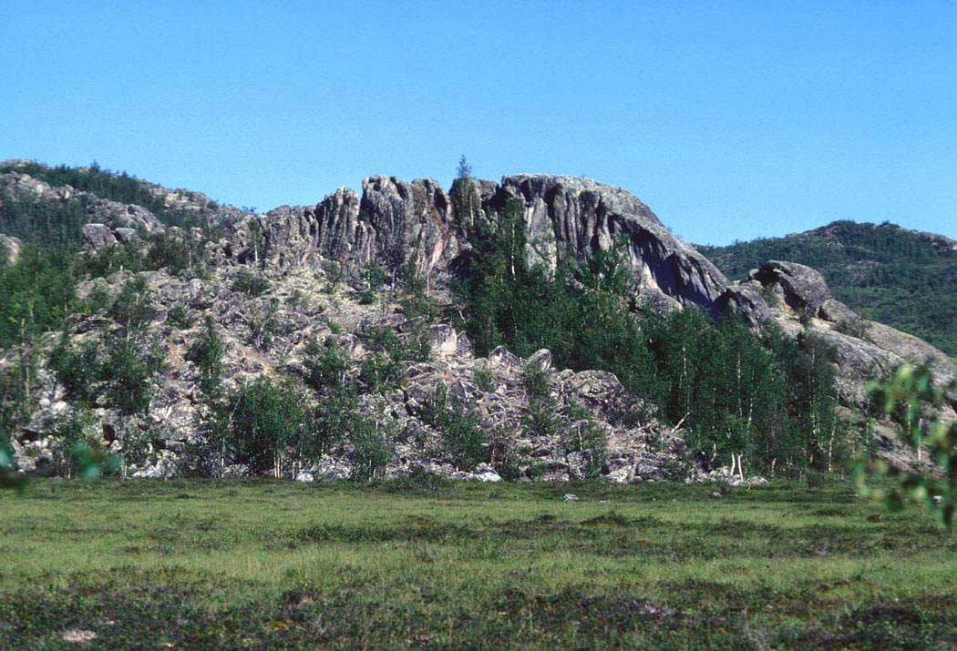 Rock formation with tree growth.