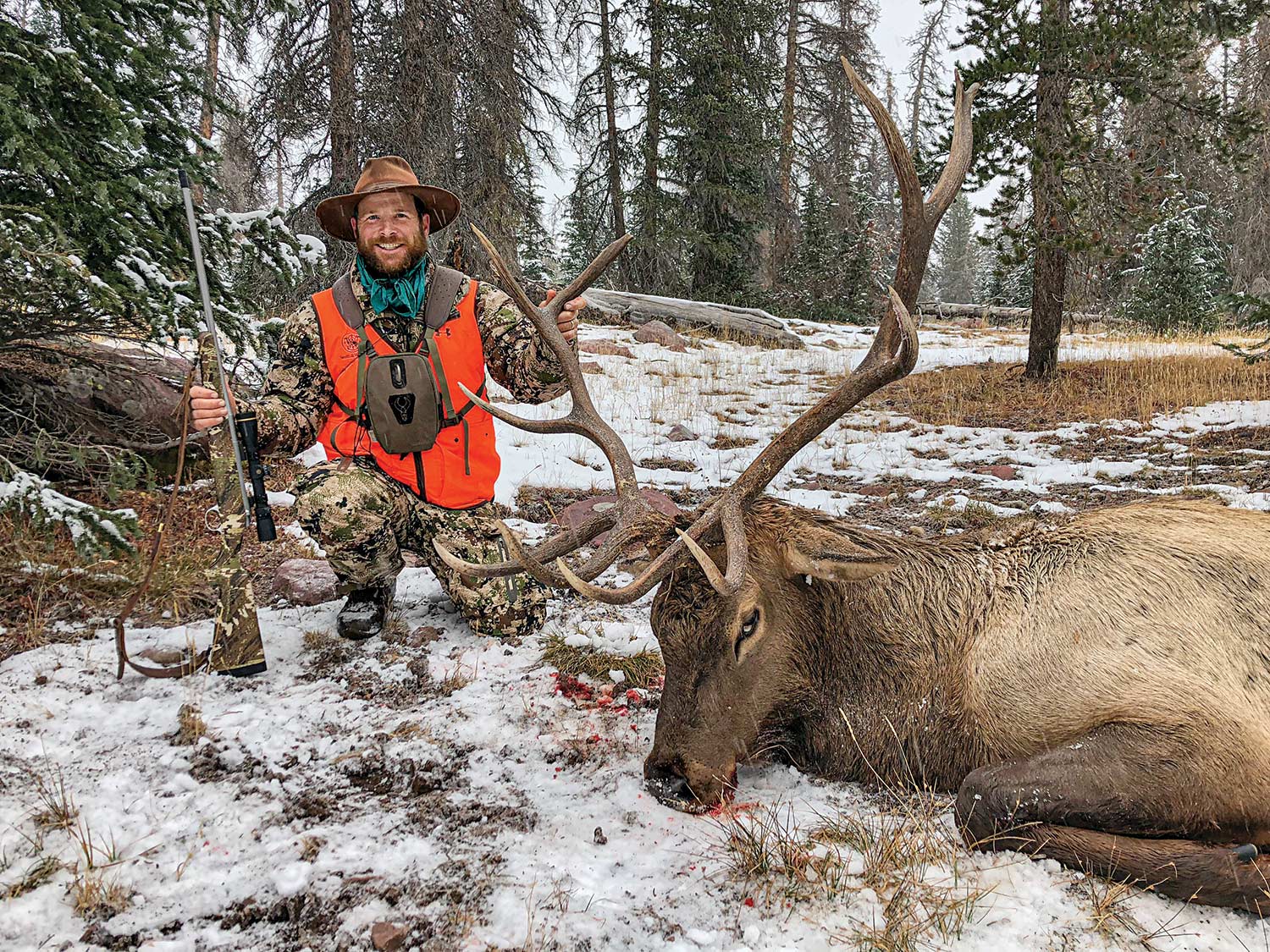 Elk hunting the glade 2025 near telluride co.annual snowfall