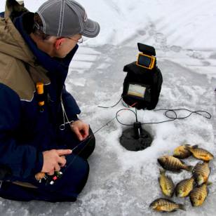 5 Bluegill Facts That Will Help You Catch More Fish