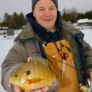 5 Bluegill Facts That Will Help You Catch More Fish