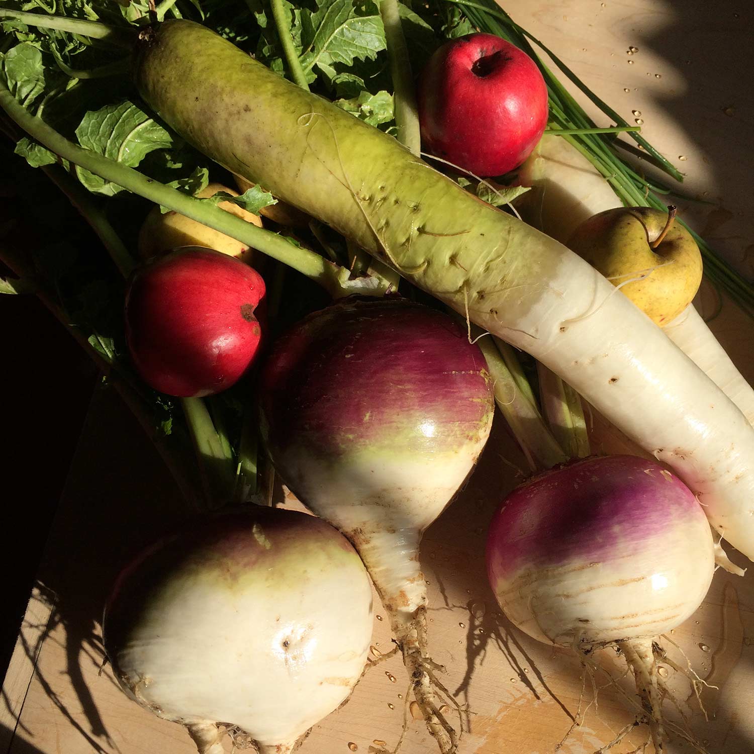 Wild fruits and vegetables.