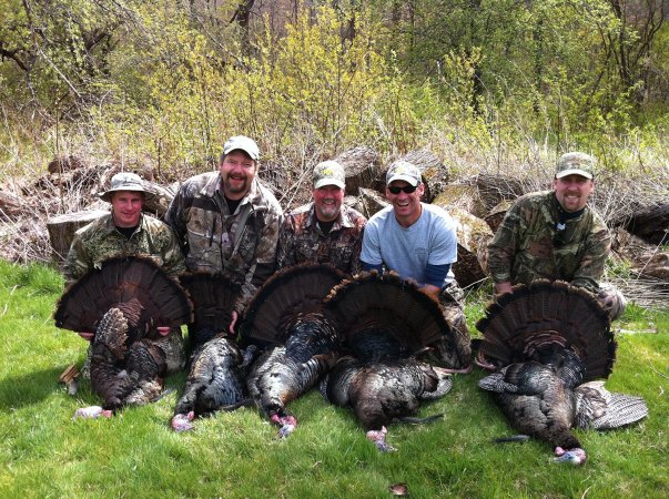 5 turkey hunters kneeling beside their turkeys.