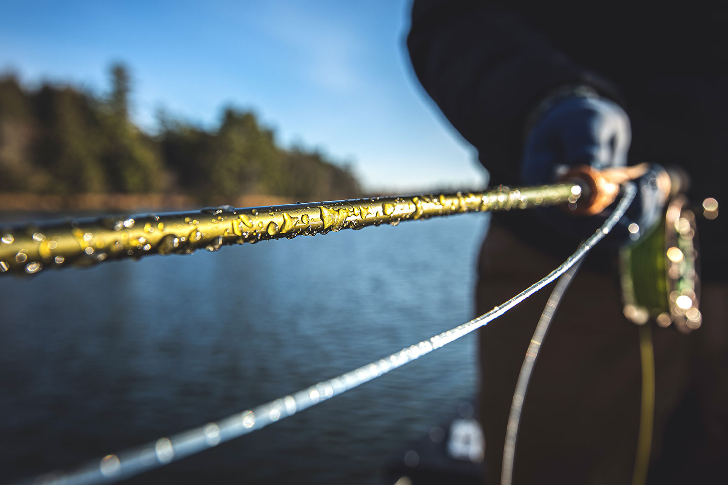 A fishing rod covered in ice