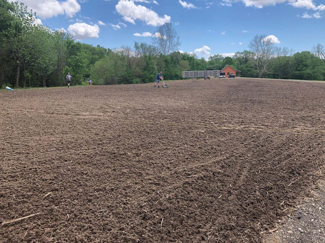 How to Plant a Sunflower Field for Better Dove Hunting This Summer