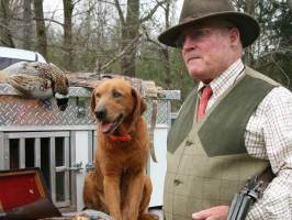 7 Top Hunting Dog Training Tips from World-Class Experts