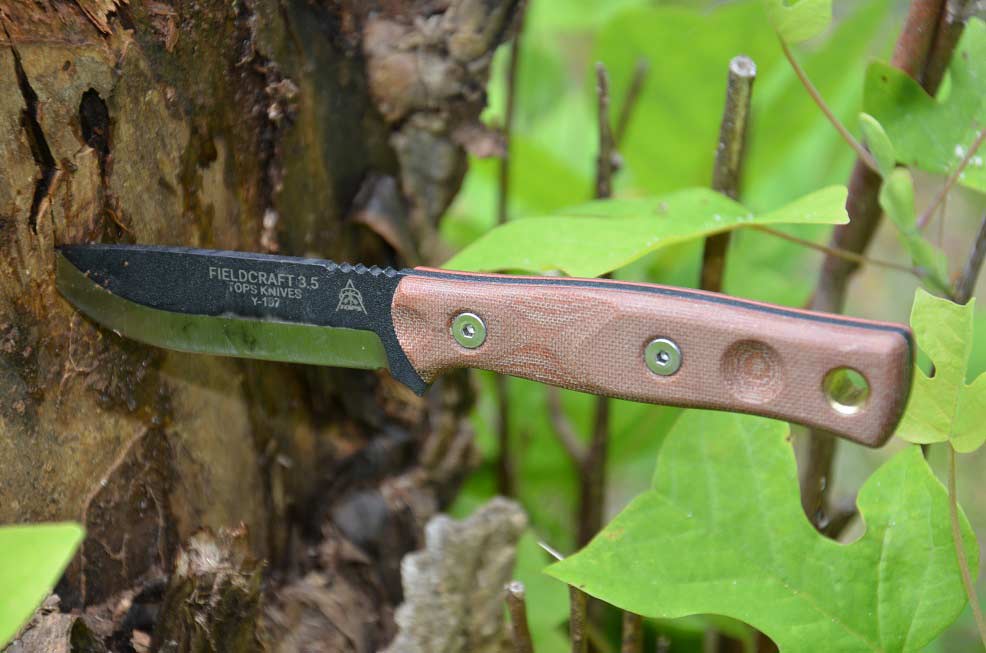 A knife thrown into the trunk of a tree.