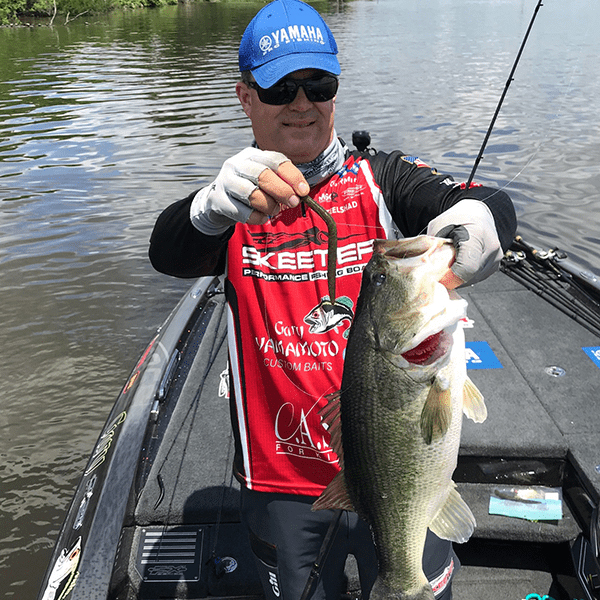 A fishing angler holding up a senko lure and a large bass.