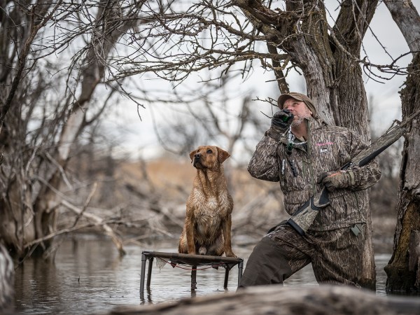 How to Take Care of Your Hunting Dog in Subzero Weather