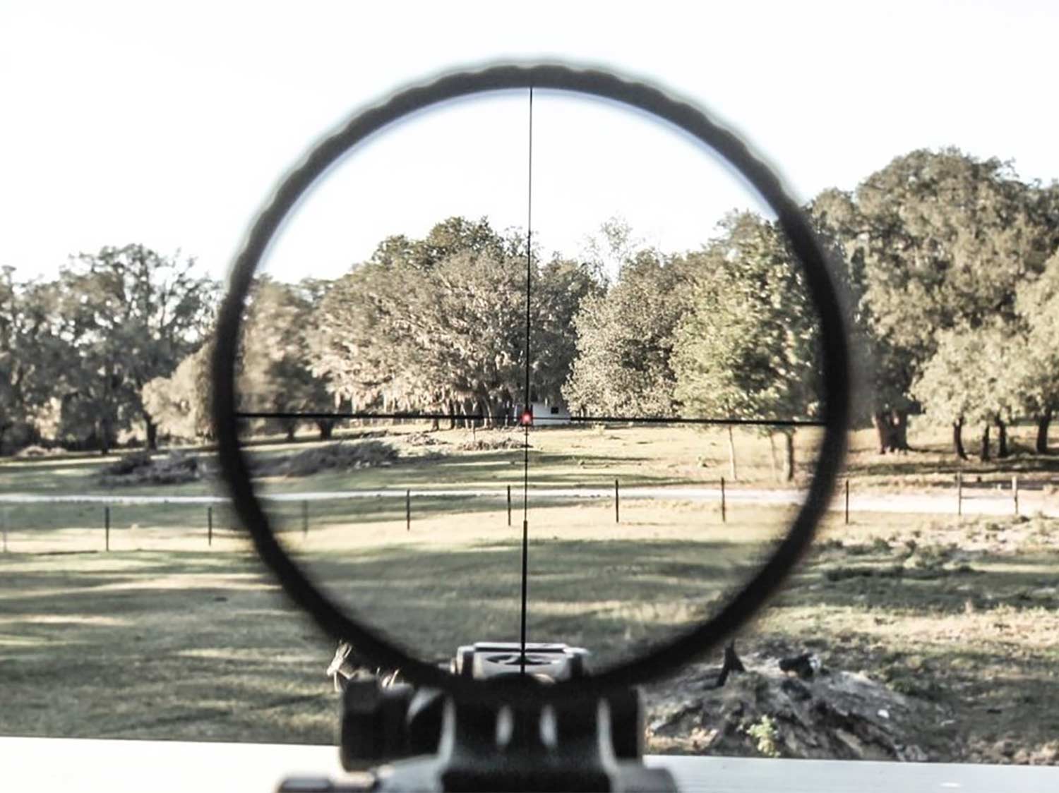 A view through the Vortex Razor sights.