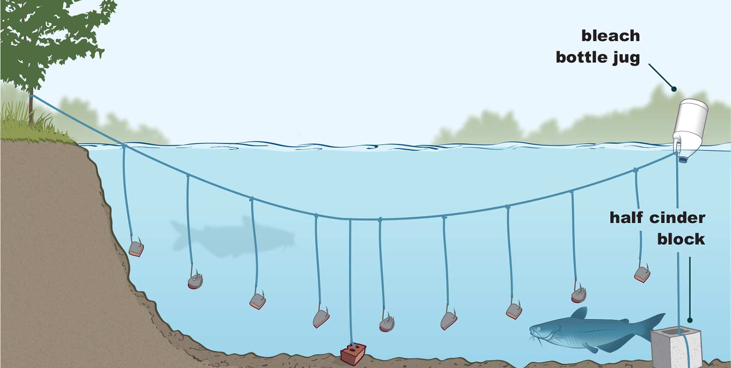 How to catch a fish with a soda can without a rod 