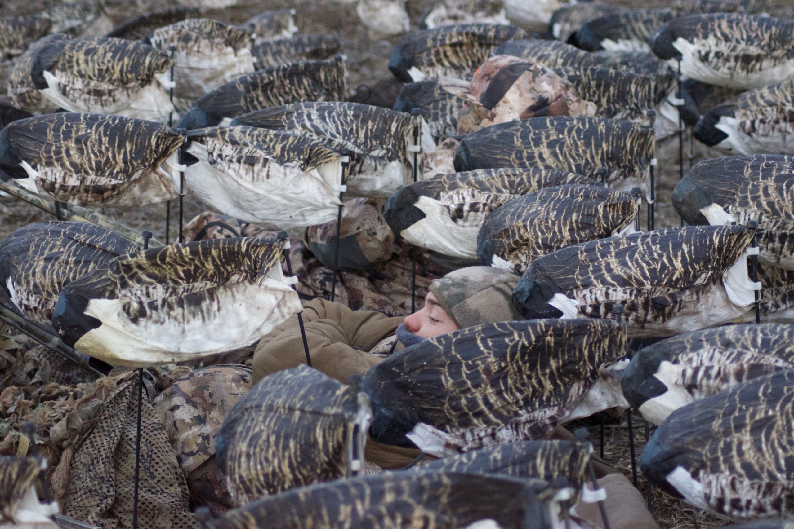 Concealment is a key ingredient to successful late-season goose hunts.