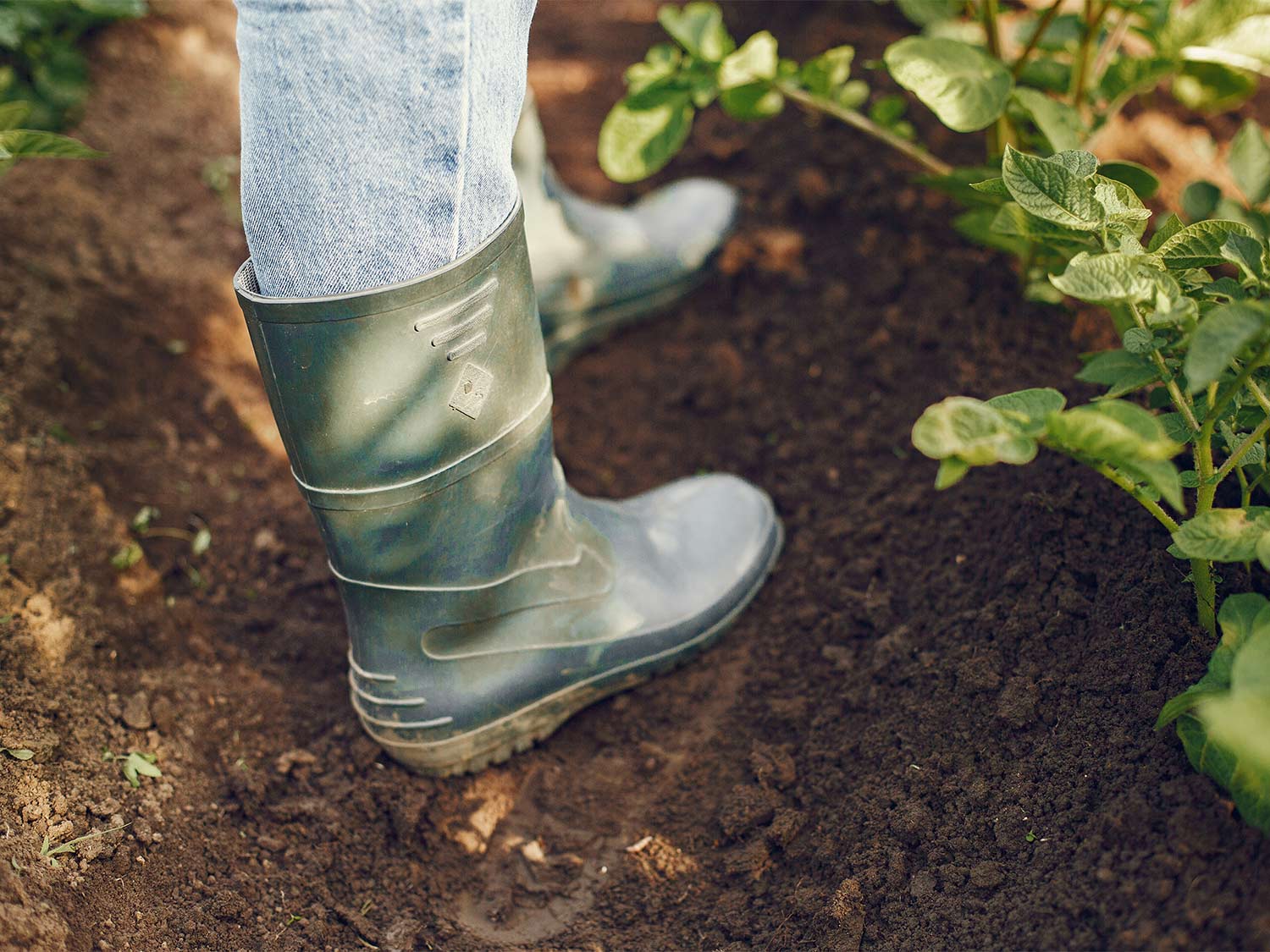 Best Rain Boots for Women: Outdoor Research, Sperry & More