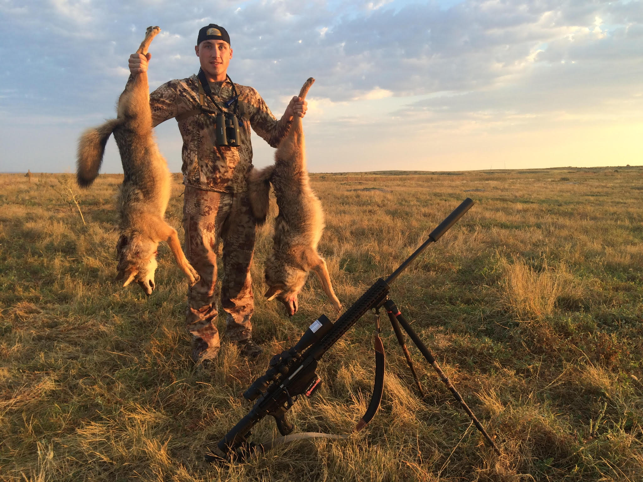 Cattle pastures are an ideal to place to ambush coyotes out West.